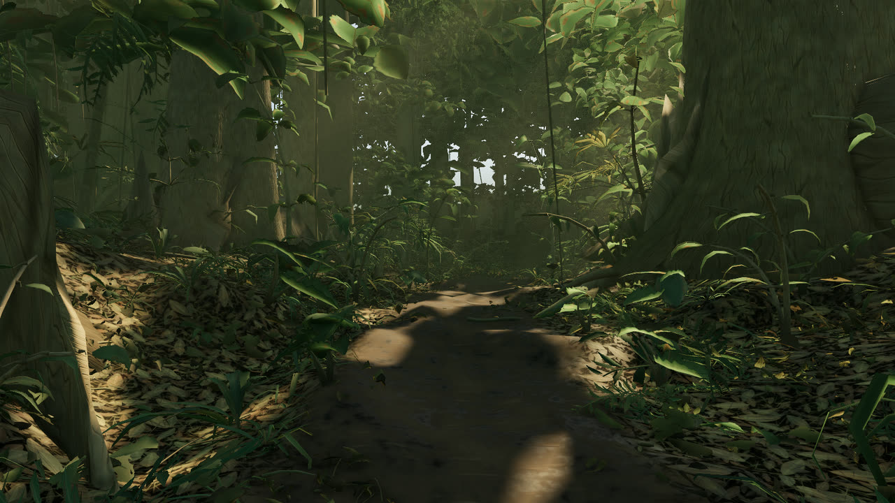 Trailhead under closed canopy