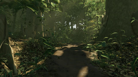 jungle-trail