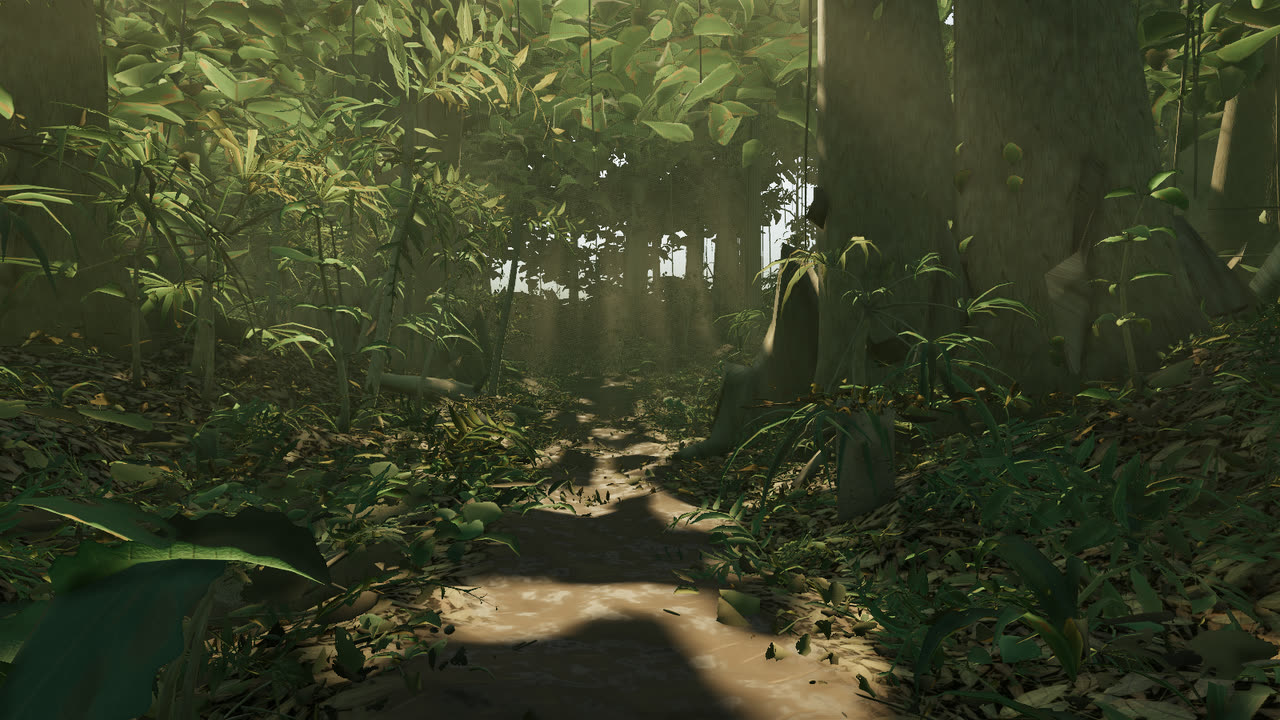 Mid trail